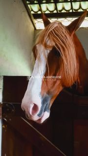 Venda de terreno, Fazenda Real Residência, 595m2