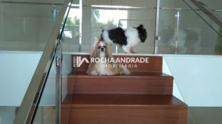 Casa com 5 dormitorios a venda, 500 m² por R$ 7.999.000,00 - Busca Vida Resort - Camacari/BA