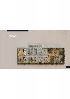 FOCUS CENTER