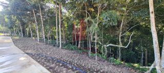 Repasse de Lote no Lagos de Aldeia 500m² com Vista para Mata