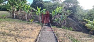 Chácara em Aldeia c/ 3 Casas 1 Hectare