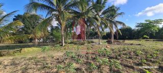 Chácara em Aldeia c/ 3 Casas 1 Hectare