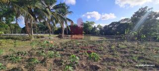 Chácara em Aldeia c/ 3 Casas 1 Hectare