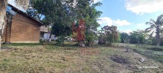 Chácara em Aldeia c/ 3 Casas 1 Hectare