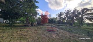 Chácara em Aldeia c/ 3 Casas 1 Hectare