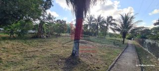 Chácara em Aldeia c/ 3 Casas 1 Hectare