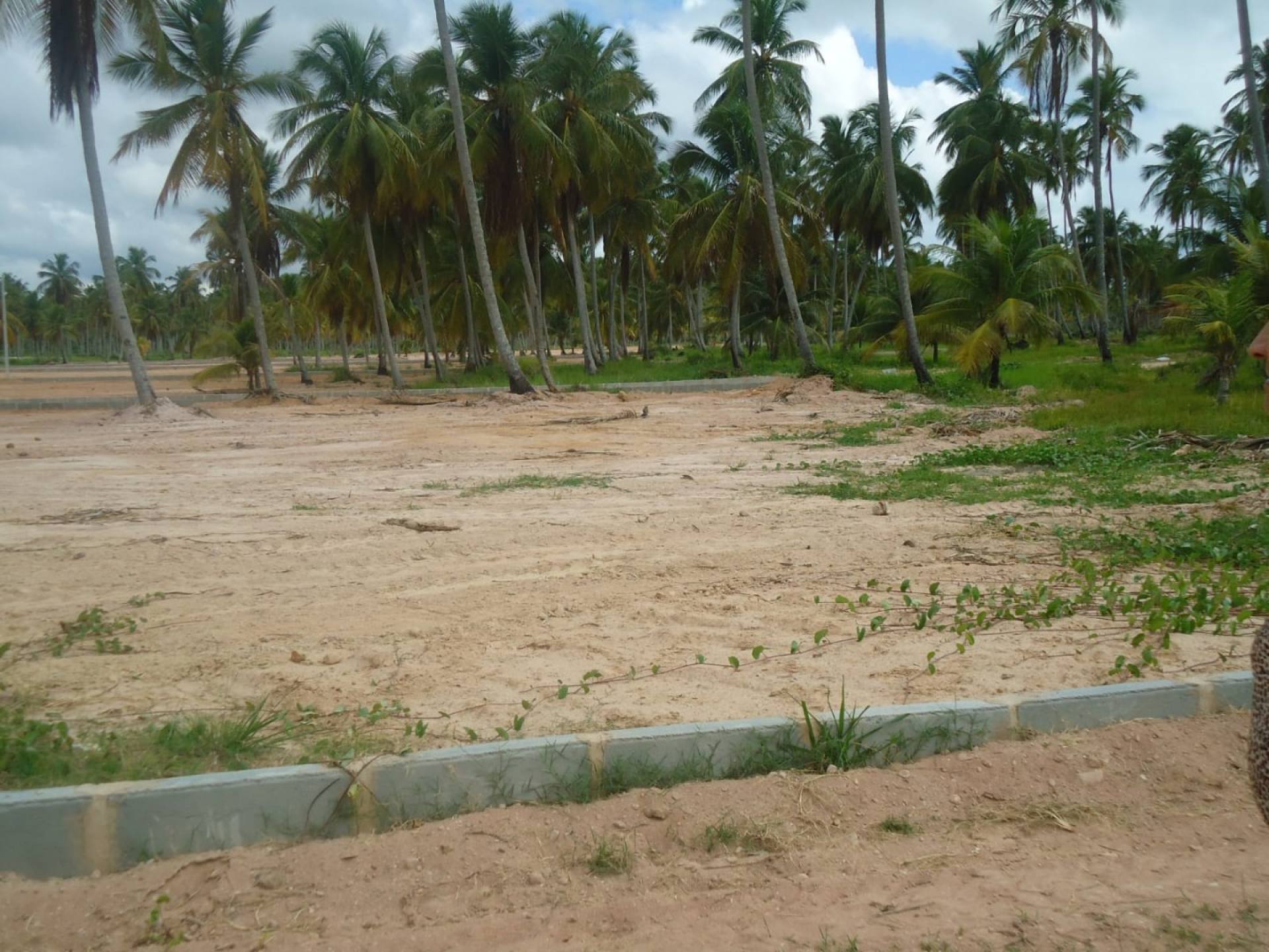 2 Lotes de 200m em Loteamento na Praia de São José da Coroa Grande