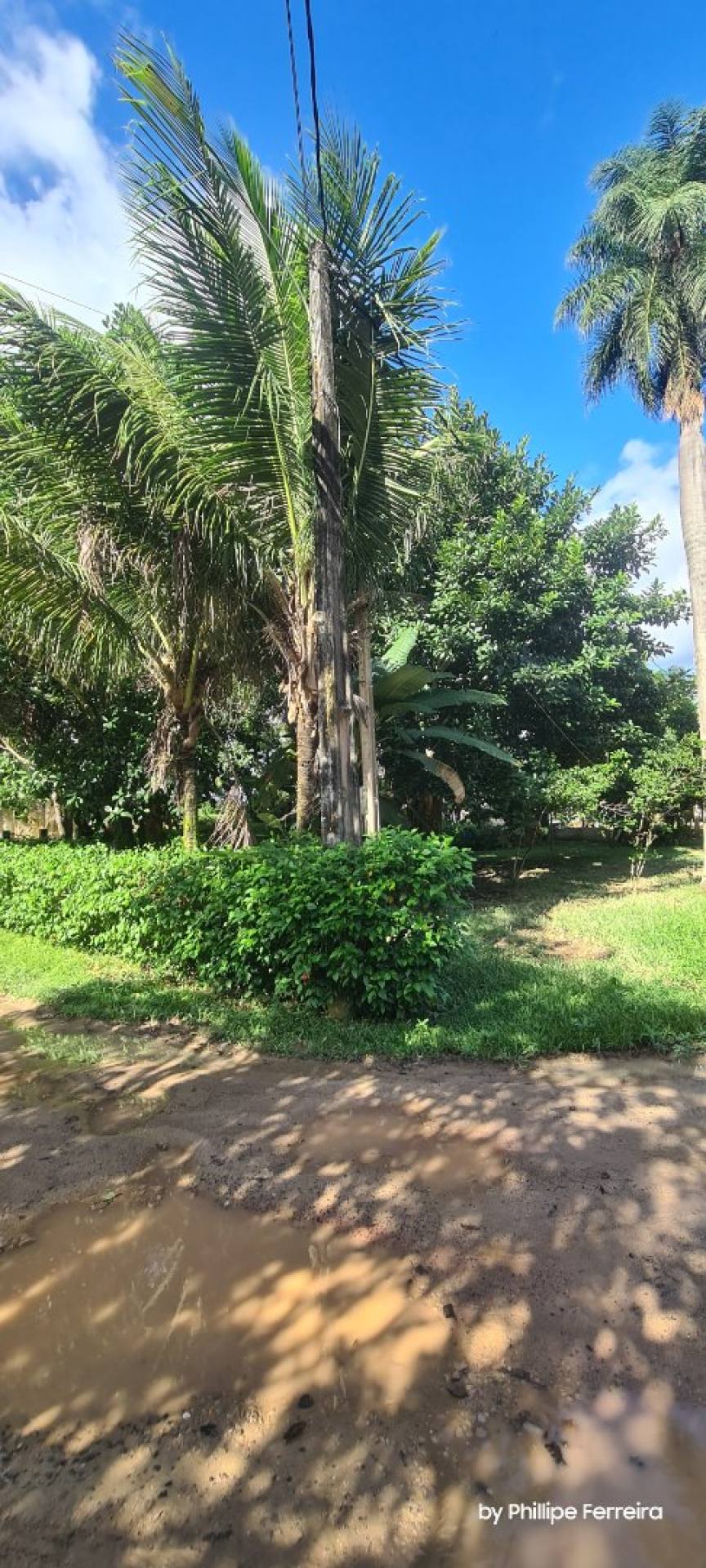 Lote no Condomínio Casa Nova de Ponta c/ área verde