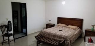 Mini Chácara com 800m² e Casa com 3 Quartos sendo 2 Suítes 260m²