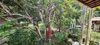 Casa em Cond. Aldeia 4 Suítes Piscina Espaço Gourmet