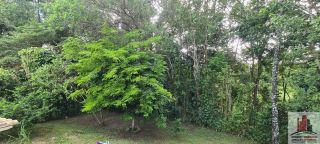 Casa em Cond. em Aldeia com 5 Quartos 245m²