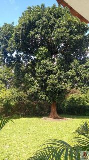 Aldeia - Casa em Aldeia 250m² 3 Quartos 2 Suítes