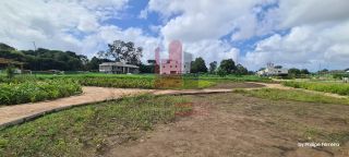 Lote em Cond. Hyeda Castro 1050m²