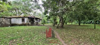Aldeia - Chácara em Aldeia com 3 Hectares 2 Casas