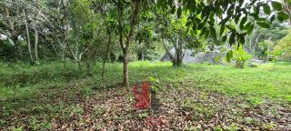 Aldeia - Chácara em Aldeia com 3 Hectares 2 Casas