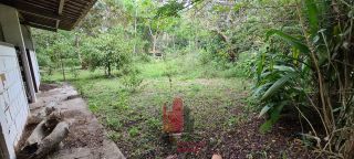 Aldeia - Chácara em Aldeia com 3 Hectares 2 Casas