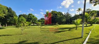 Linda Chácara em Aldeia com 2.4 Hectares