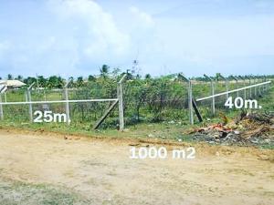 Terreno de 1000 metros na Praia do Saco