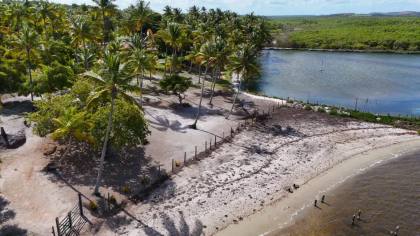 Propriedade com 160 tarefas a venda no Povoado Farnaval em Estância-Se