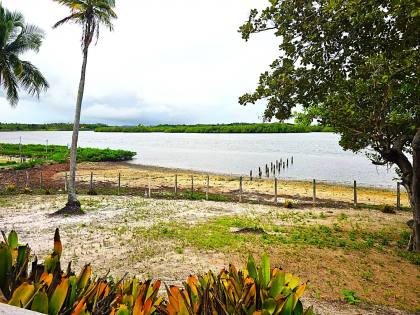 Propriedade com 160 tarefas a venda no Povoado Farnaval em Estância-Se