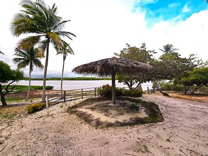 Propriedade com 160 tarefas a venda no Povoado Farnaval em Estância-Se