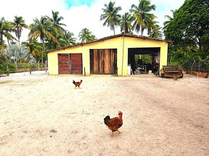 Propriedade com 160 tarefas a venda no Povoado Farnaval em Estância-Se