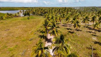 Propriedade com 160 tarefas a venda no Povoado Farnaval em Estância-Se