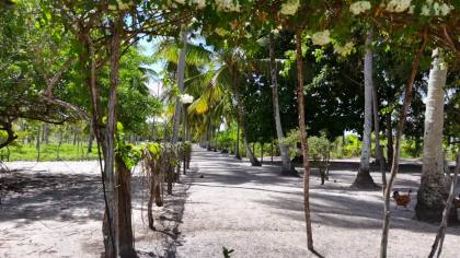 Propriedade com 160 tarefas a venda no Povoado Farnaval em Estância-Se