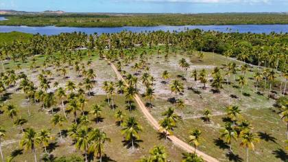 Propriedade com 160 tarefas a venda no Povoado Farnaval em Estância-Se