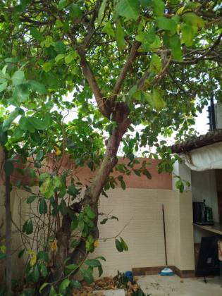 Casa 369m² À Venda No Condomínio Melício Machado Com 5 Quartos 2 Suítes