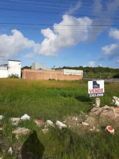 Lote 447 Metros no Loteamento Morada das Mangueiras Povoado Zaloque São Cristovao