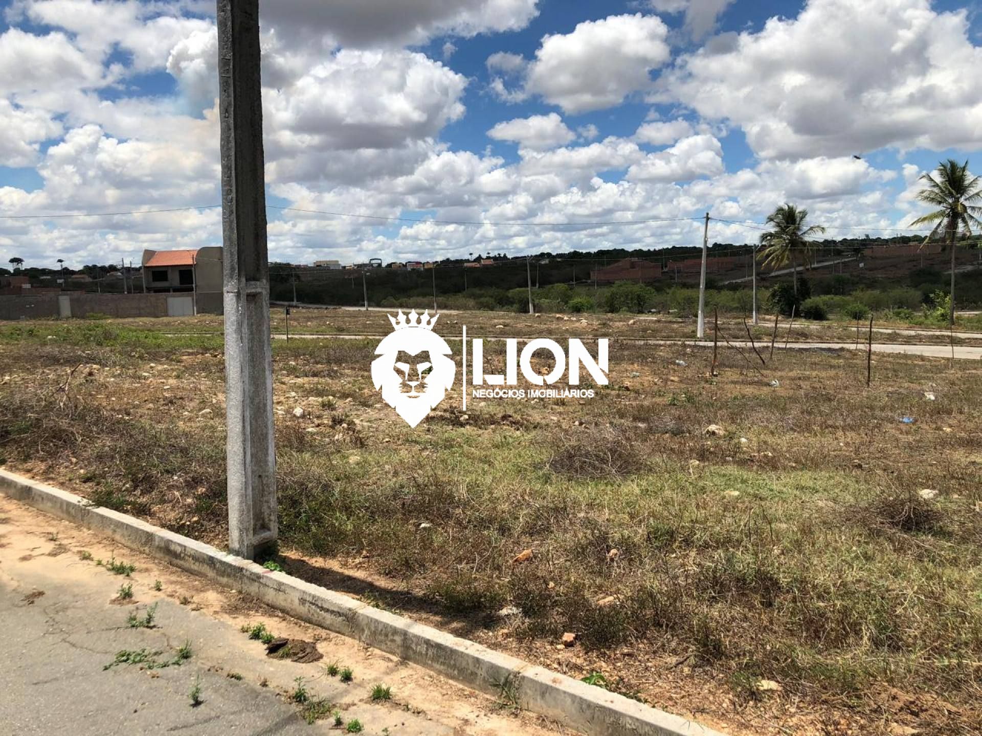 2 Lotes à Venda – Juntos ou Separados!