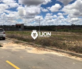 2 Lotes à Venda – Juntos ou Separados!