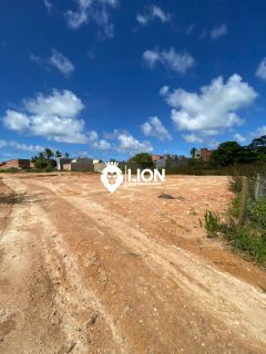 Seu pedaço do paraíso está aqui! Lote 6x20 para vender em Porto da Rua- São Miguel Dos Milagres! R$65.000,00