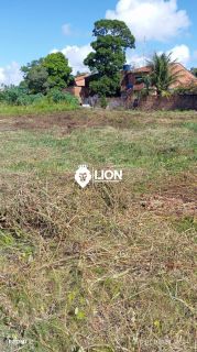 Terreno  Para Vender São Miguel Dos Milagres