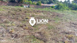 Terreno  Para Vender São Miguel Dos Milagres