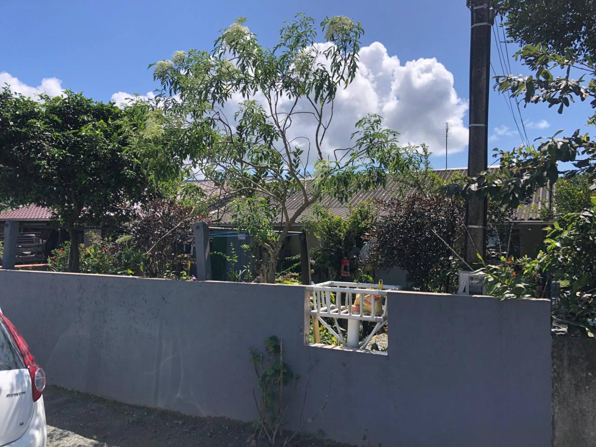 Casa Para Vender com 5 quartos 1 suítes no bairro Gravatá em Navegantes