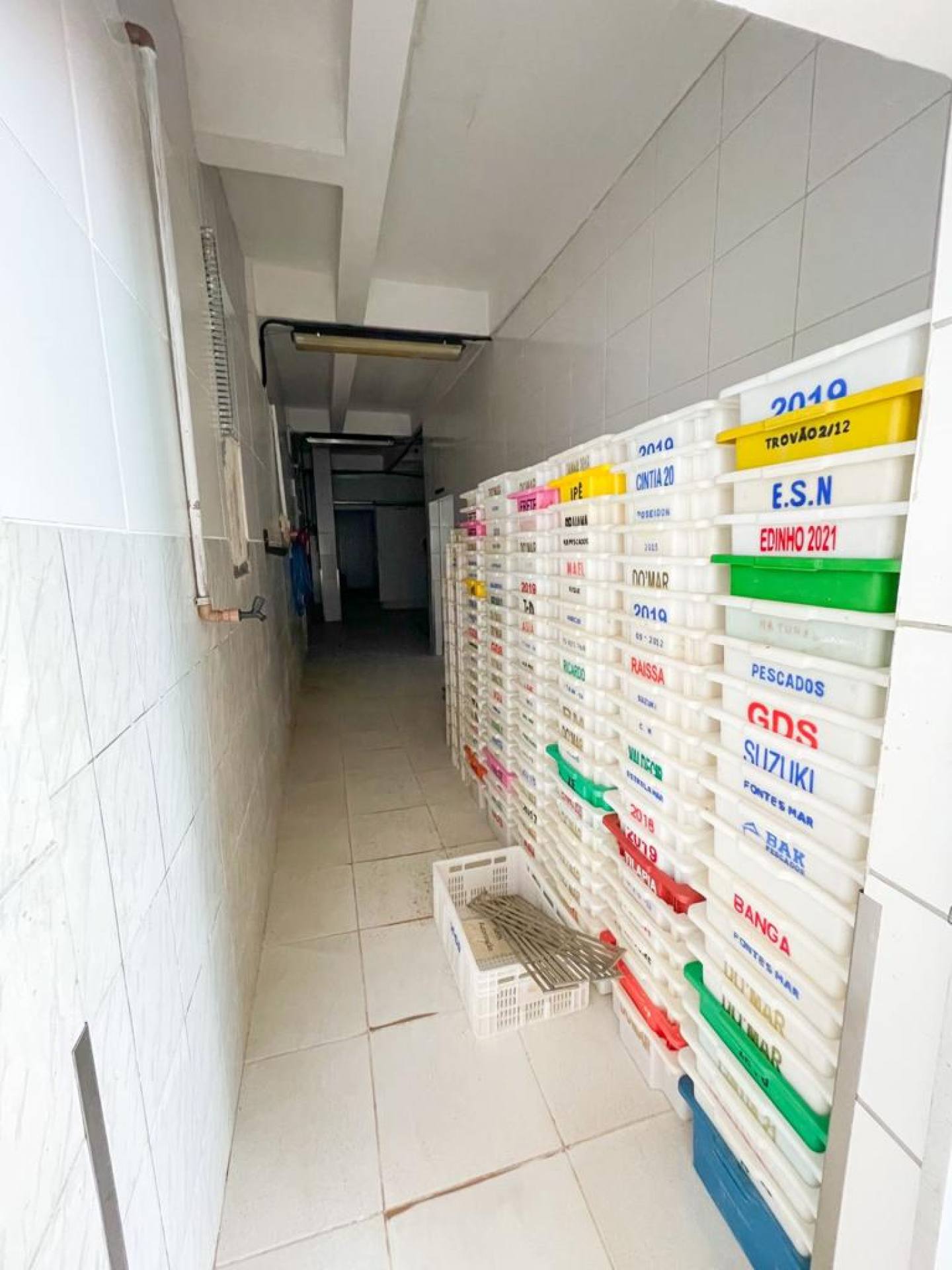 Firma de pescados - Escritório e Câmaras frigoríficas