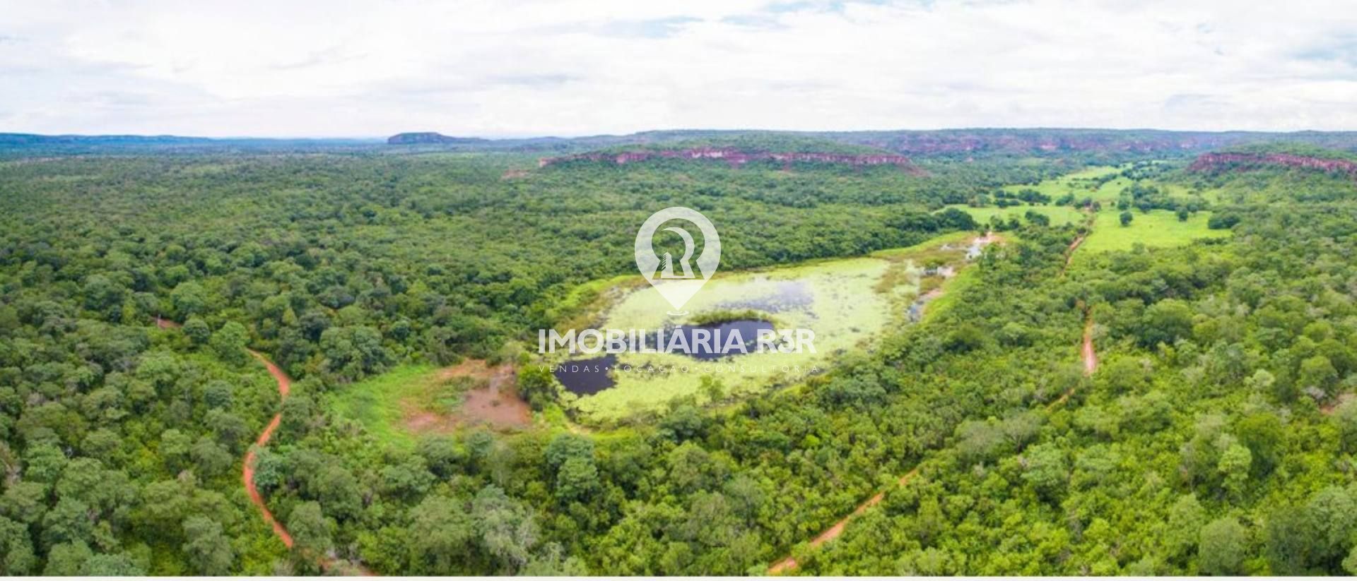 FAZENDA - VÁRZEA GRANDE, CRISTINO CASTRO (PI)