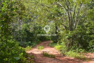 FAZENDA - VÁRZEA GRANDE, CRISTINO CASTRO (PI)