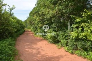 FAZENDA - VÁRZEA GRANDE, CRISTINO CASTRO (PI)