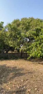 LOTE - JARDIM ATLÂNTICO, PARNAÍBA (PI)