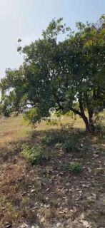 LOTE - JARDIM ATLÂNTICO, PARNAÍBA (PI)