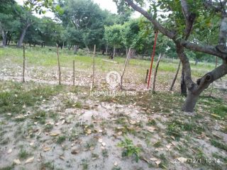 FAZENDA - BOA ESPERANÇA, JOSÉ DE FREITAS (PI)