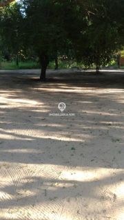 SITIO - POVOADO PIRANHAS, TIMON (MA)