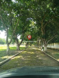 SÍTIO - BAIRRO NOVO URUGUAI, ZONA SUDESTE