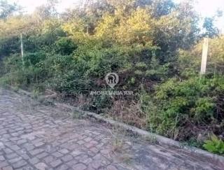 LOTE - BAIRRO TABOCA DO PAU FERRADO