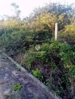 LOTE - BAIRRO TABOCA DO PAU FERRADO