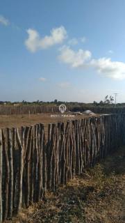 LOTE - BAIRRO CAJUEIRO DA PRAIA, PARNAÍBA (PI)