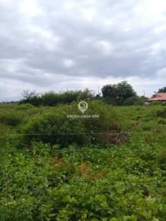 LOTE - BAIRRO JOÃO XXIII, PARNAÍBA (PI)